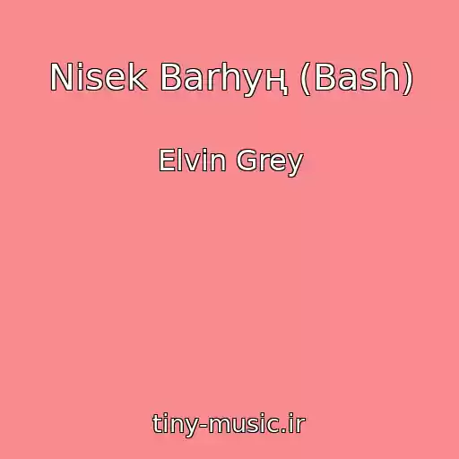 کاور آهنگ Nisek Barһyң (Bash) از Elvin Grey