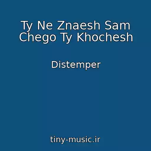 کاور آهنگ Ty Ne Znaesh Sam Chego Ty Khochesh از Distemper
