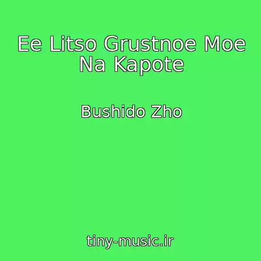 کاور آهنگ Ee Litso Grustnoe Moe Na Kapote از Bushido Zho