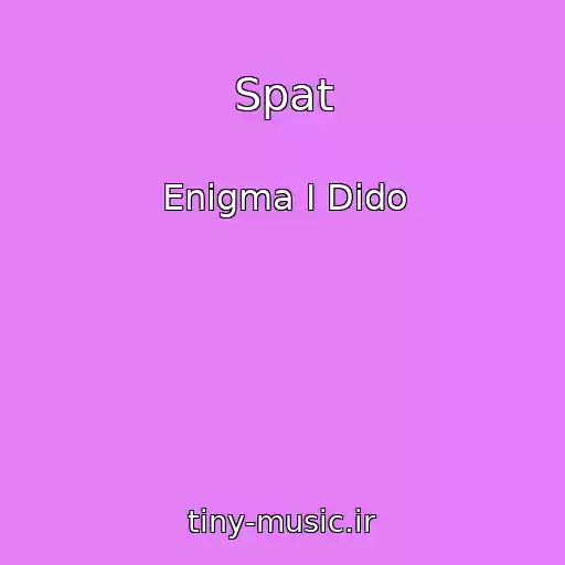 کاور آهنگ Spat از Enigma I Dido
