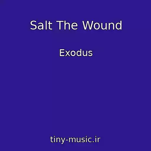 کاور آهنگ Salt The Wound از Exodus