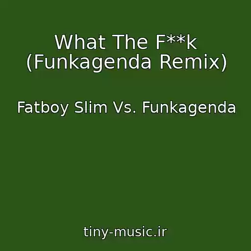 کاور آهنگ What The F**k (Funkagenda Remix) از Fatboy Slim Vs. Funkagenda