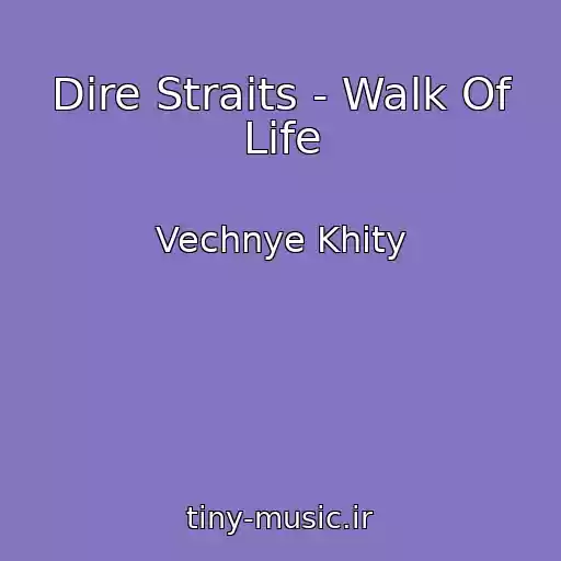 کاور آهنگ Dire Straits - Walk Of Life از Vechnye Khity