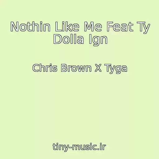 کاور آهنگ Nothin Like Me Feat Ty Dolla Ign از Chris Brown X Tyga