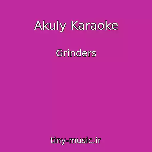 کاور آهنگ Akuly Karaoke از Grinders