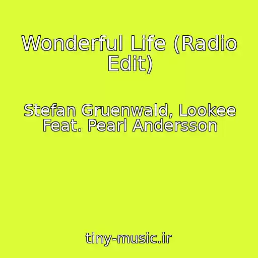 کاور آهنگ Wonderful Life (Radio Edit) از Stefan Gruenwald, Lookee Feat. Pearl Andersson