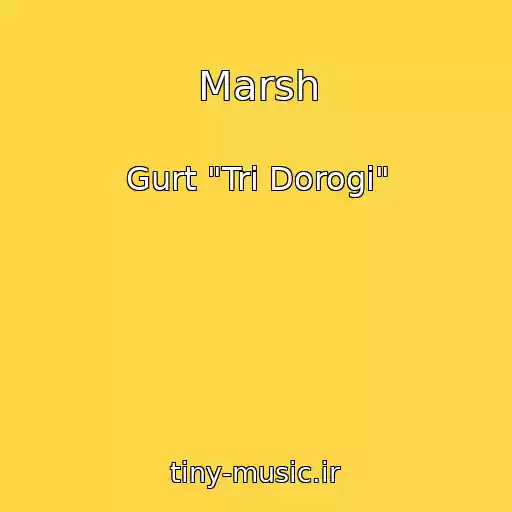 کاور آهنگ Marsh از Gurt "Tri Dorogi"