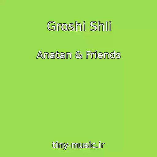 کاور آهنگ Groshі Shli از Anatan & Friends