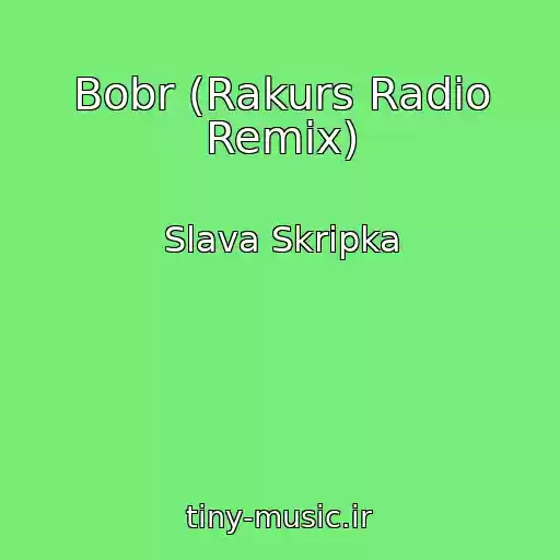 کاور آهنگ Bobr (Rakurs Radio Remix) از Slava Skripka