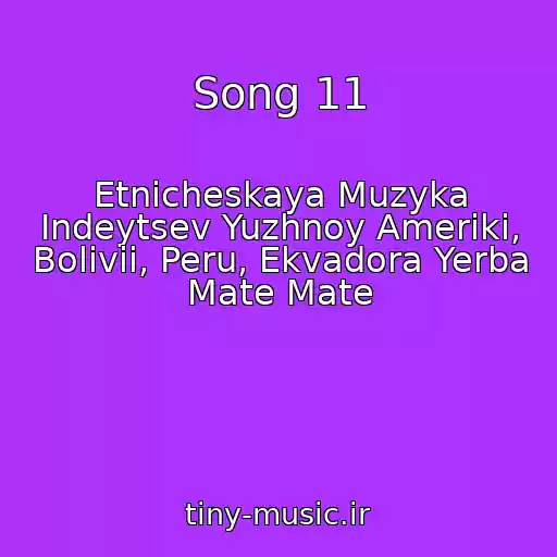 کاور آهنگ Song 11 از Etnicheskaya Muzyka Indeytsev Yuzhnoy Ameriki, Bolivii, Peru, Ekvadora Yerba Mate Mate