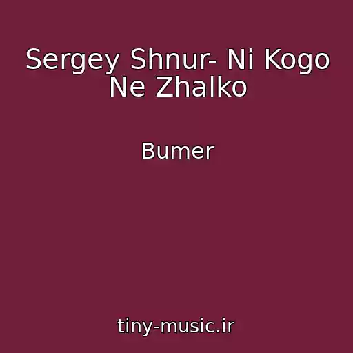 کاور آهنگ Sergey Shnur- Ni Kogo Ne Zhalko از Bumer