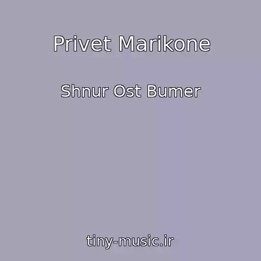 کاور آهنگ Privet Marikone از Shnur Ost Bumer