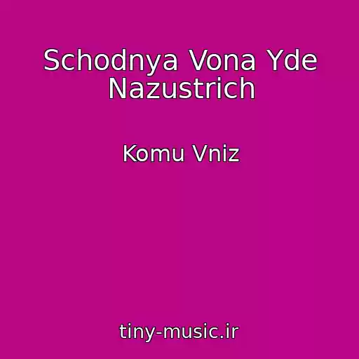 کاور آهنگ Schodnya Vona Yde Nazustrіch از Komu Vniz