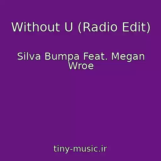 کاور آهنگ Without U (Radio Edit) از Silva Bumpa Feat. Megan Wroe
