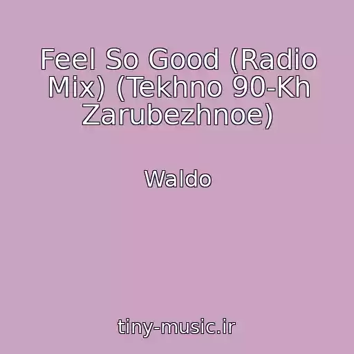 کاور آهنگ Feel So Good (Radio Mix) (Tekhno 90-Kh Zarubezhnoe) از Waldo