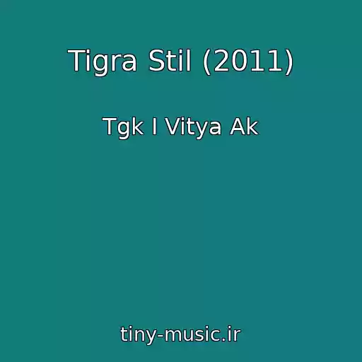کاور آهنگ Tigra Stil (2011) از Tgk I Vitya Ak