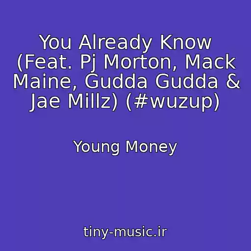 کاور آهنگ You Already Know (Feat. Pj Morton, Mack Maine, Gudda Gudda & Jae Millz) (#wuzup) از Young Money