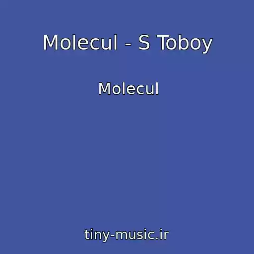 کاور آهنگ Molecul - S Toboy از Molecul