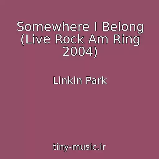 کاور آهنگ Somewhere I Belong (Live Rock Am Ring 2004) از Linkin Park