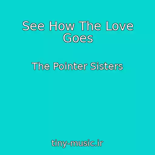 کاور آهنگ See How The Love Goes از The Pointer Sisters