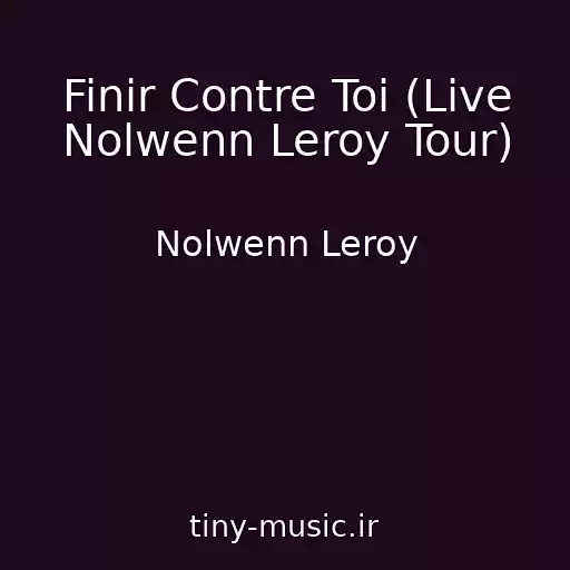 کاور آهنگ Finir Contre Toi (Live Nolwenn Leroy Tour) از Nolwenn Leroy