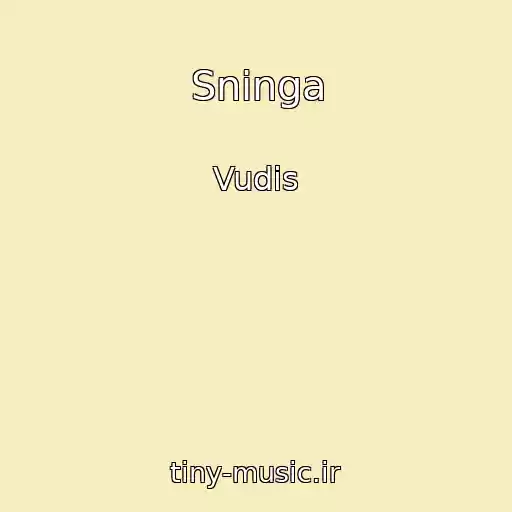 کاور آهنگ Sninga از Vudis