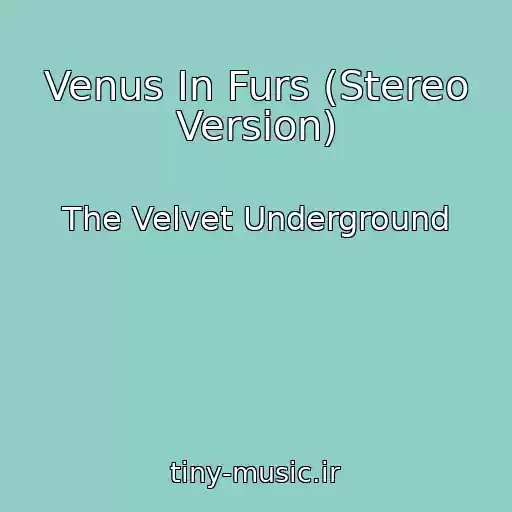 کاور آهنگ Venus In Furs (Stereo Version) از The Velvet Underground