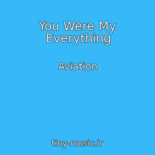 کاور آهنگ You Were My Everything از Aviation