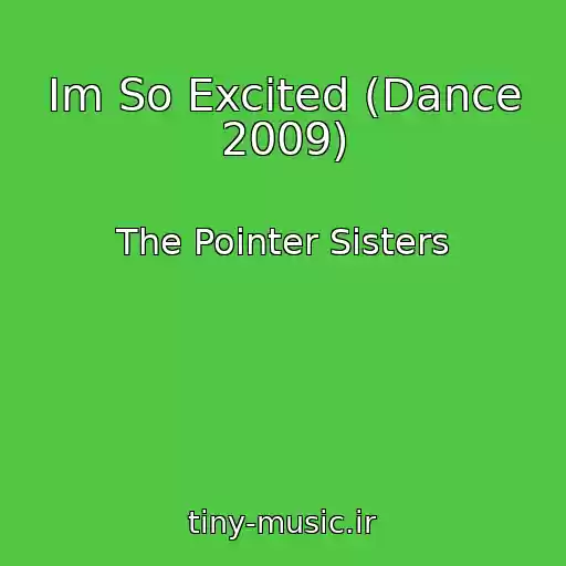 کاور آهنگ Im So Excited (Dance 2009) از The Pointer Sisters