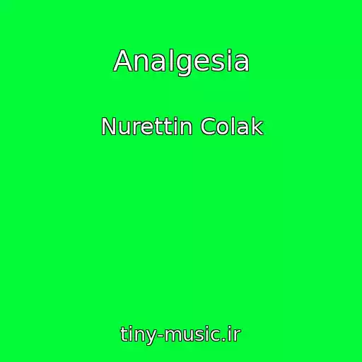کاور آهنگ Analgesia از Nurettin Colak