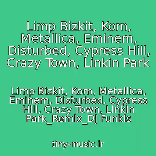 کاور آهنگ Limp Bizkit, Korn, Metallica, Eminem, Disturbed, Cypress Hill, Crazy Town, Linkin Park از Limp Bizkit, Korn, Metallica, Eminem, Disturbed, Cypress Hill, Crazy Town, Linkin Park_Remix_Dj Funkis