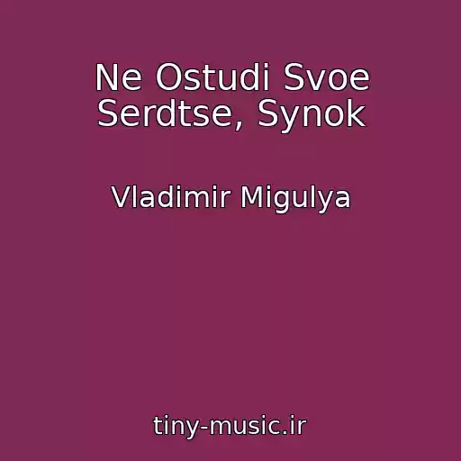 کاور آهنگ Ne Ostudi Svoe Serdtse, Synok از Vladimir Migulya