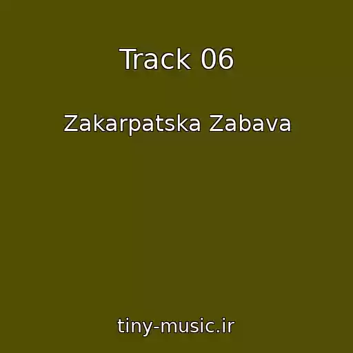 کاور آهنگ Track 06 از Zakarpatska Zabava