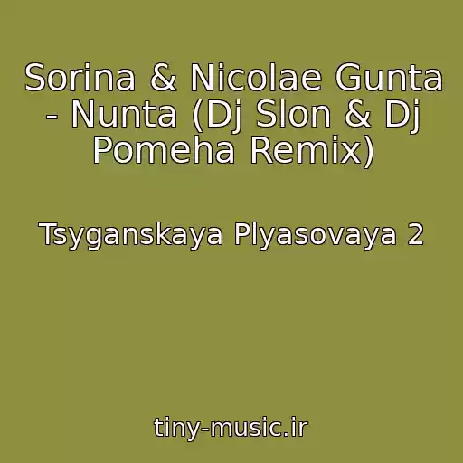 کاور آهنگ Sorina & Nicolae Gunta - Nunta (Dj Slon & Dj Pomeha Remix) از Tsyganskaya Plyasovaya 2