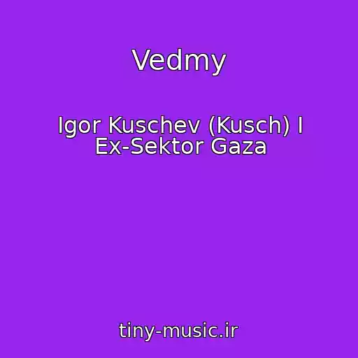 کاور آهنگ Vedmy از Igor Kuschev (Kusch) I Ex-Sektor Gaza