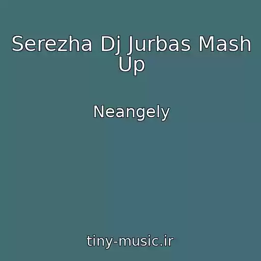 کاور آهنگ Serezha Dj Jurbas Mash Up از Neangely