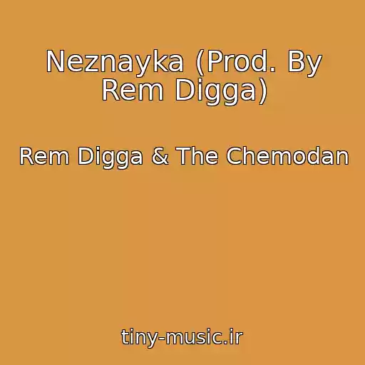 کاور آهنگ Neznayka (Prod. By Rem Digga) از Rem Digga & The Chemodan