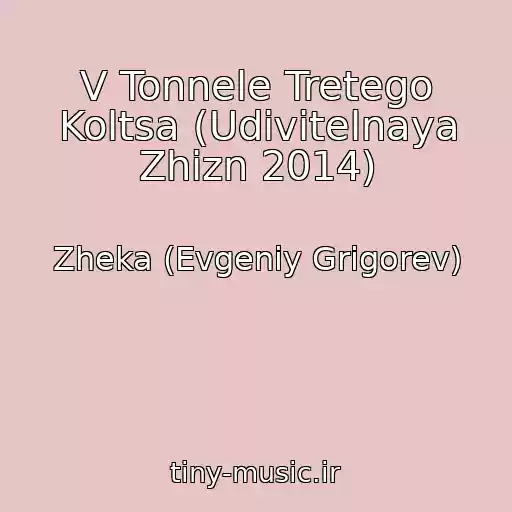 کاور آهنگ V Tonnele Tretego Koltsa (Udivitelnaya Zhizn 2014) از Zheka (Evgeniy Grigorev)