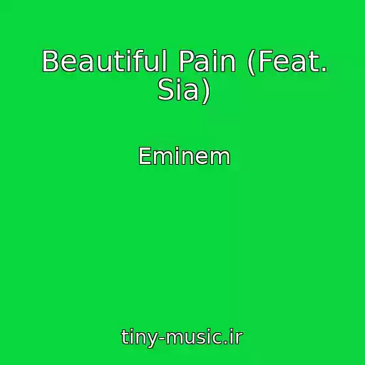 کاور آهنگ Beautiful Pain (Feat. Sia) از Eminem