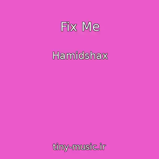 کاور آهنگ Fix Me از Hamidshax