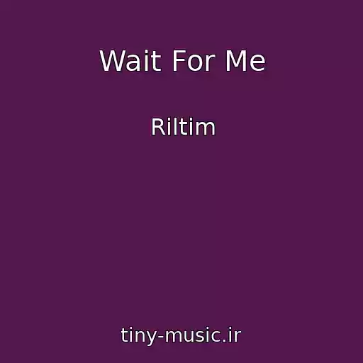 کاور آهنگ Wait For Me از Riltim