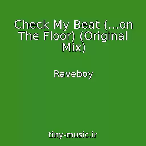 کاور آهنگ Check My Beat (...on The Floor) (Original Mix) از Raveboy