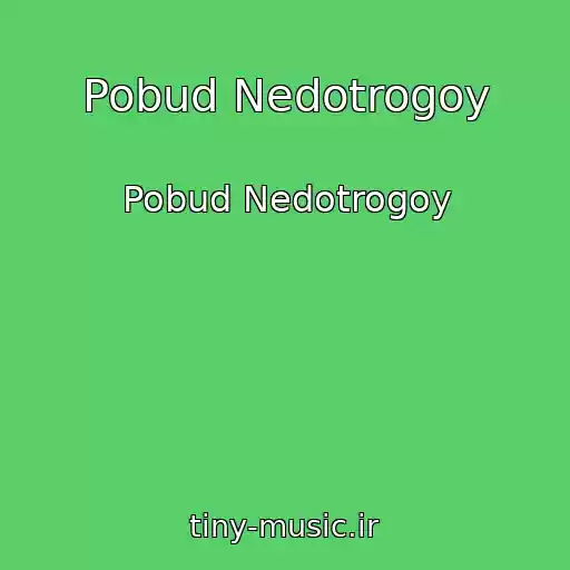 کاور آهنگ Pobud Nedotrogoy از Pobud Nedotrogoy