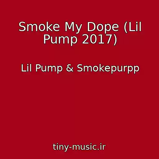 کاور آهنگ Smoke My Dope (Lil Pump 2017) از Lil Pump & Smokepurpp