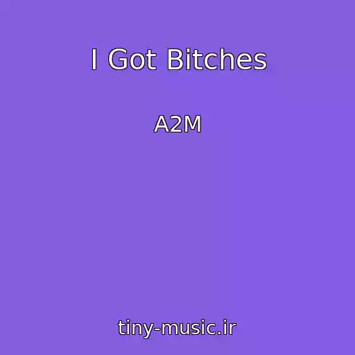 کاور آهنگ I Got Bitches از A2M