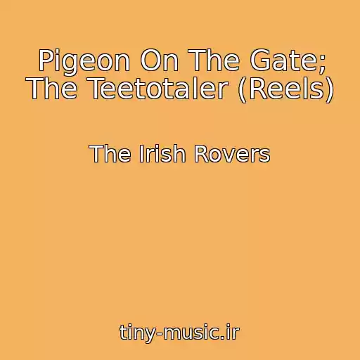 کاور آهنگ Pigeon On The Gate; The Teetotaler (Reels) از The Irish Rovers