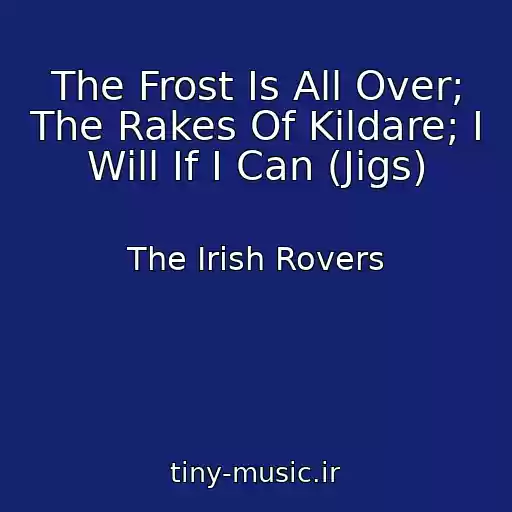 کاور آهنگ The Frost Is All Over; The Rakes Of Kildare; I Will If I Can (Jigs) از The Irish Rovers