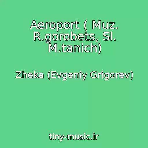 کاور آهنگ Aeroport ( Muz. R.gorobets, Sl. M.tanich) از Zheka (Evgeniy Grigorev)