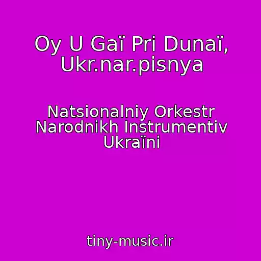کاور آهنگ Oy U Gaї Pri Dunaї, Ukr.nar.pіsnya از Natsіonalniy Orkestr Narodnikh Іnstrumentіv Ukraїni
