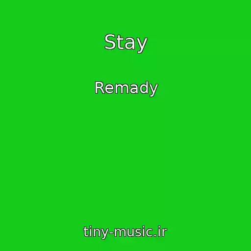 کاور آهنگ Stay از Remady